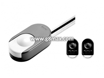 Automatisierung von Hubtoren SOMFY Dexxo Smart 1000 io + Schiene