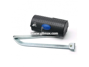 Drehtorantriebsmotor BFT IGEA 230V
